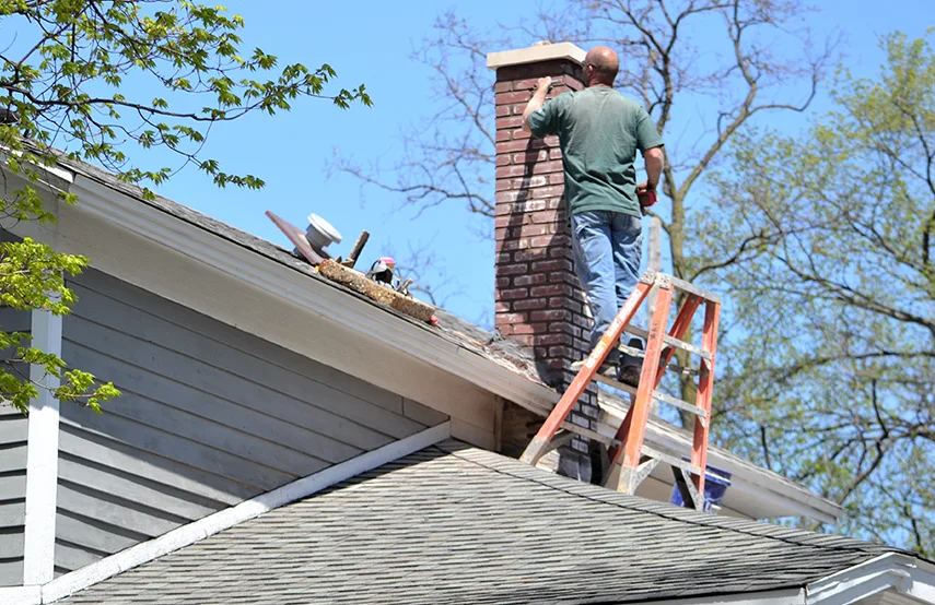 Chimney & Fireplace Inspections Services in Elk River, MN
